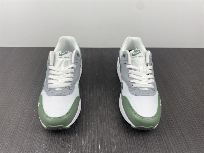 Nike Air Max 1 Spiral Sage - DB5074-100