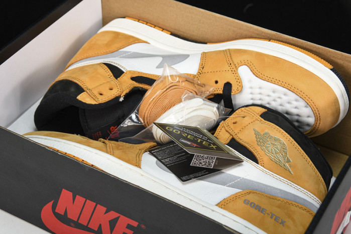 Air Jordan 1 Element Gore-Tex Light Curry DB2889-700