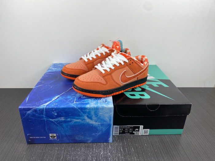 Concepts x Nike SB Dunk Low “Orange FD8776-800